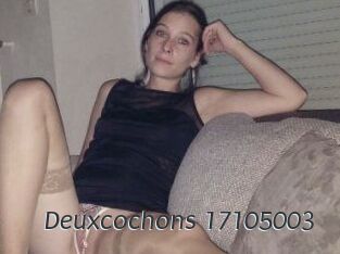 Deuxcochons