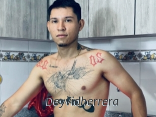 deyvidherrera Ligne Rose