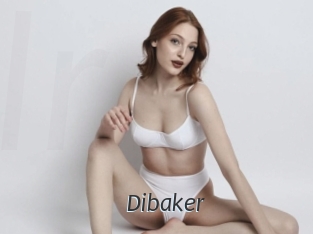 Dibaker