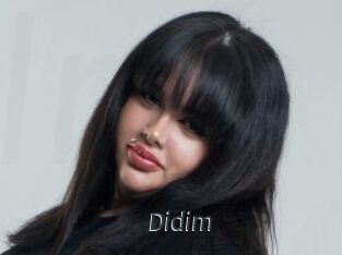 Didim
