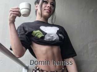 Domin_hamss