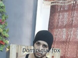 Dominique_fox