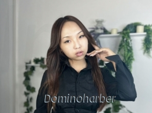 Dominoharber