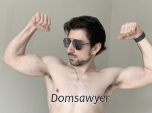 Domsawyer