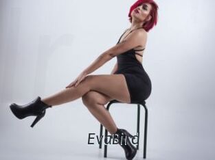 EvaBird