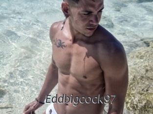 Eddbigcock97