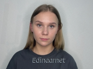 Edinaarnet