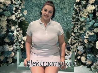 Elektraamotaro
