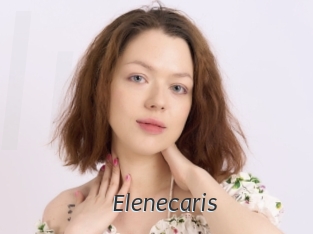 Elenecaris
