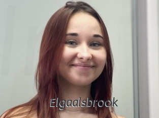 Elgaalsbrook