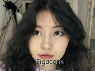 Elgacarls