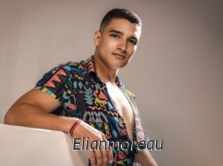 elianmoreau Ligne Rose