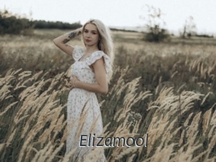 Elizamool