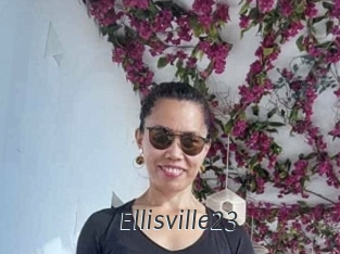 Ellisville23