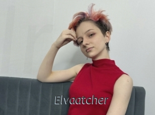 Elvaatcher