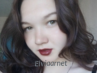 Elviaarnet