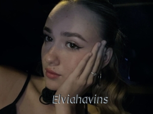 Elviahavins