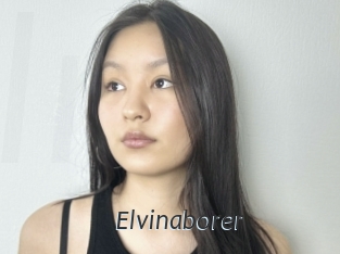Elvinaborer