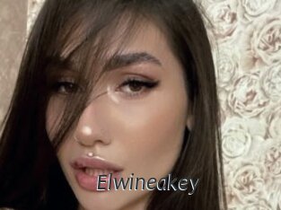 Elwineakey