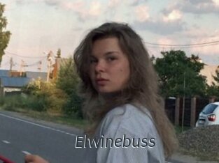 Elwinebuss