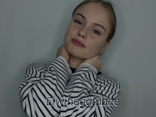 Elwinegambee