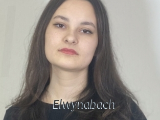 Elwynabach