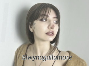 Elwynagallamore