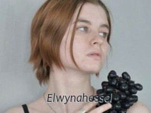 Elwynahessel