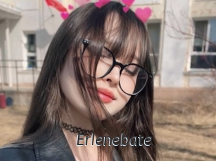 Erlenebate
