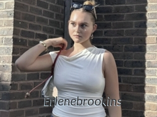 Erlenebrookins