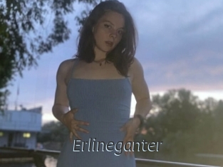 Erlineganter