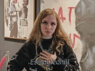 Esmagledhill