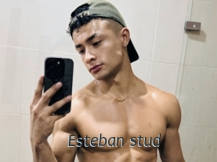 esteban_stud Ligne Rose