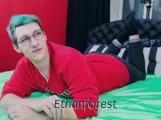 Ethanforest