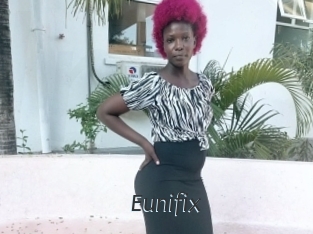 Eunifix