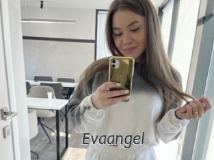 Evaangel