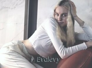 Evalevy
