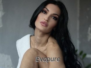 Evapure
