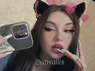 Evawallis