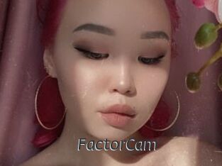 FactorCam