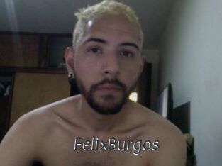 FelixBurgos