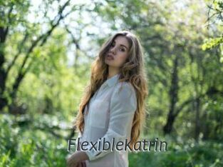 FlexibleKatrin