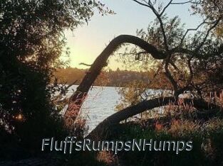 FluffsRumpsNHumps