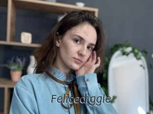 Felicediggle