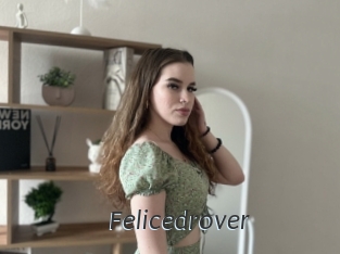 Felicedrover