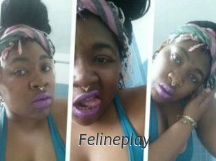 Felineplay