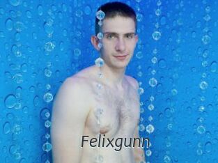 Felixgunn