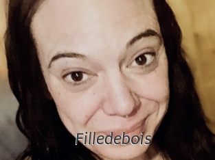 Filledebois