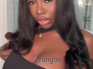 Fung8e