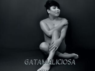 GATAMALICIOSA